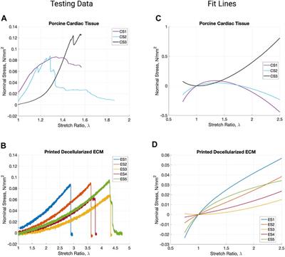 Bioprinting of Decellularized Porcine Cardiac Tissue for Large-Scale Aortic Models